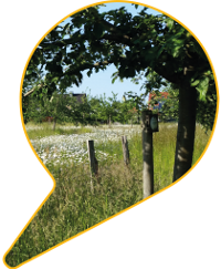 Logo Alpentour 7