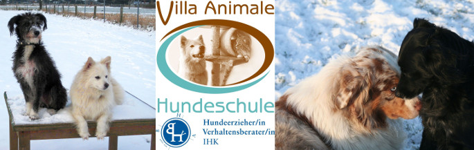 Hundeschule Villa Animale