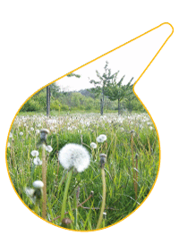 Logo Alpentour